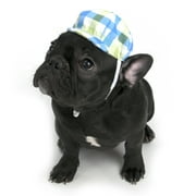 Vibrant Life Plaid Newsboy Dog Hat, Medium/Large