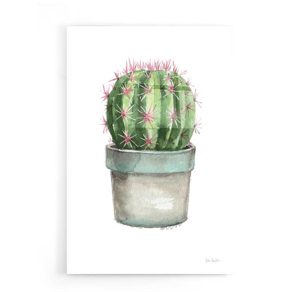 Epic Art 'Mixed Greens Succulent II' by Lisa Audit, Acrylic Glass Wall Art, 16"x24"