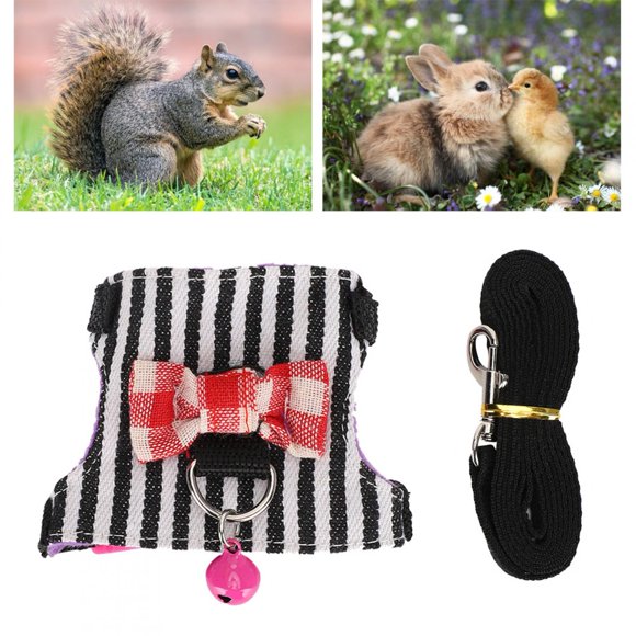Harnais de Laisse pour Animaux avec Texture Douce, Laisse Respirante pour Animaux, Laisse de Marche pour Furet, Écureuil Ou Chinchilla Furet S,m