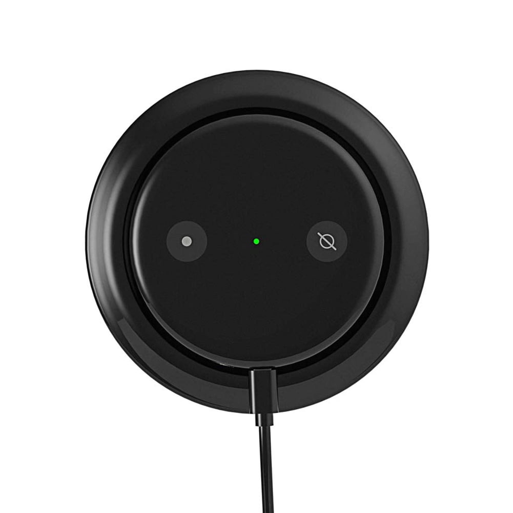 echo input google home