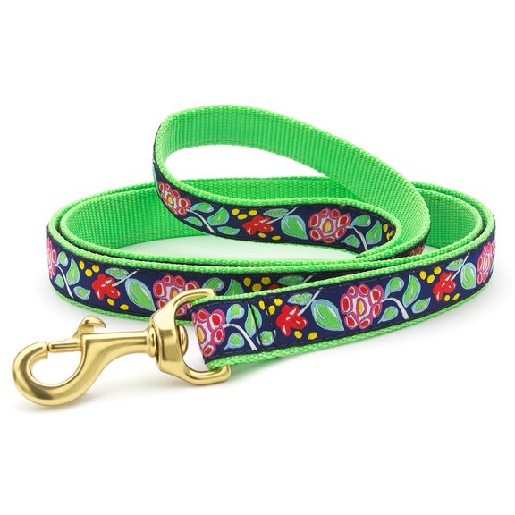 Posey Dog Leash - Large