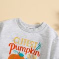 thumbnail image 3 of Gibobby Playera Termica Para Niños Bebé BbayToddler Bebé Niños Niñas Halloween Calabaza Estampado Manga Larga Tops Niños Otoño Invierno Ropa(Gris, 12-18 Meses), 3 of 5