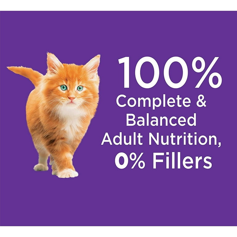 Iams Proactive Health Healthy Kitten Dry Cat Food With Chicken 7
