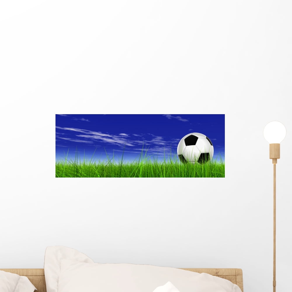 3D Black Soccer Ball Wall Mural by Wallmonkeys Peel and Stick Graphic