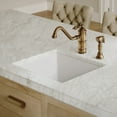 thumbnail image 5 of Whitehaus Whitehaus Collection Undermount/Drop-in Fireclay Kitchen Sinks, Stainless Steel Grid Included, 5 of 5