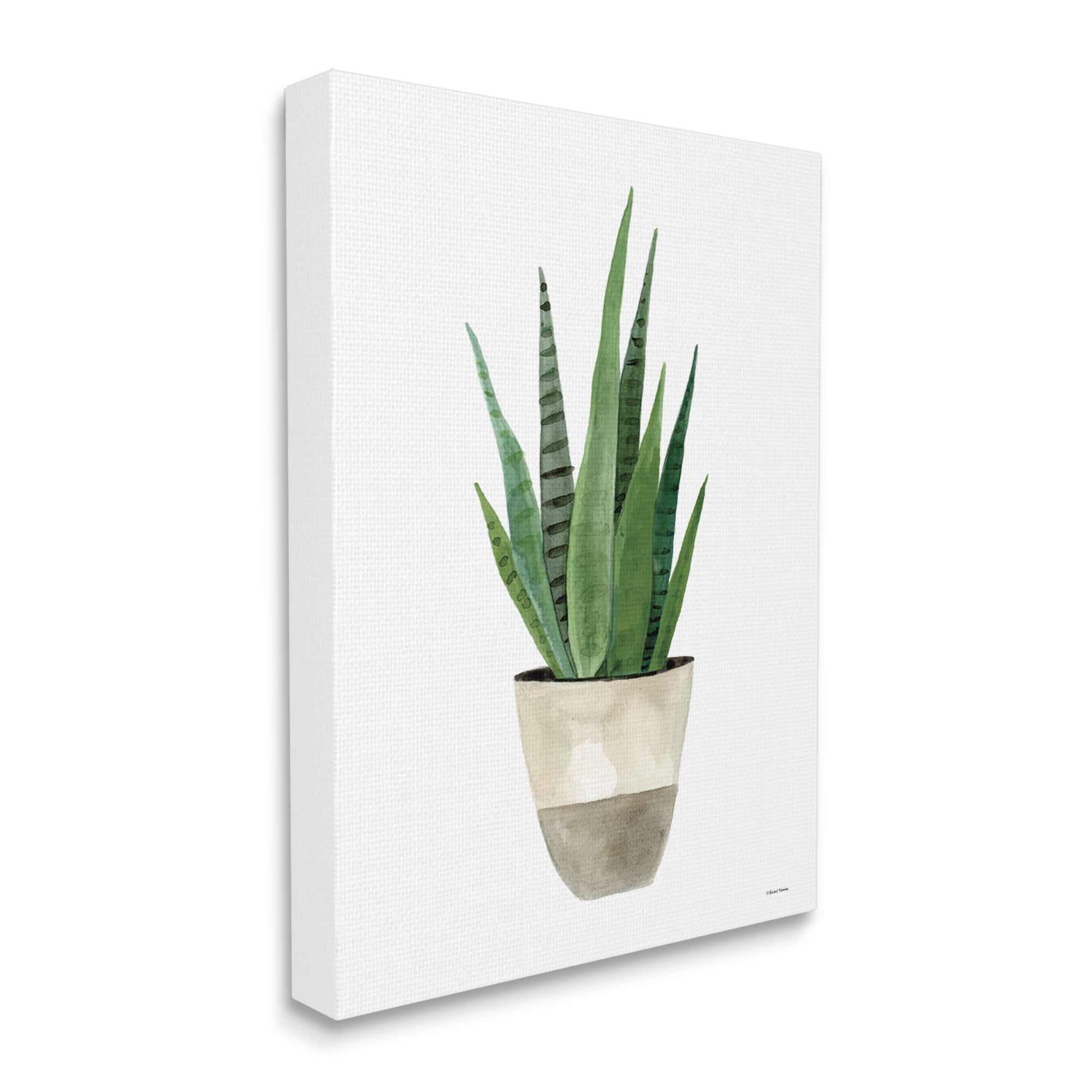 Stupell Potted Aloe Plant Casual Botanical & Floral Painting Gallery Wrapped Canvas Print Wall Art