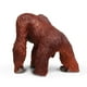 thumbnail image 5 of Figura de juguete Safari Ltd., orangután de Borneo, 13 cm, plástico, más de 3 años, 5 of 8