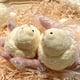 thumbnail image 4 of Juguetes de piscina, juguetes para bebés, juguetes para niños pequeños, pollito suave, pollito lindo, juguete antiestrés, juguete sensorial para adultos, 2 piezas de pollo suave, 4 of 9
