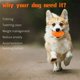 thumbnail image 5 of Pelota de rugby para perros, juguete chirriante Pelota masticable para perros agresivos Goma masticable con sonido chirriante, casi indestructible, para perros medianos y grandes (naranja) JFHHH pequeña, 5 of 5