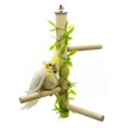 thumbnail image 4 of Soporte pino para loros, estante de juguete para masticar, juguetes colgantes para jaula de pájaros, molienda de piezaza, percha para pájaros , con hojas Colco Soporte de percha de pájaro loro, 4 of 6