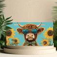 thumbnail image 6 of 1 Pcs 2D Flat License Plate Covers & Frames, A Highland Cow Wearing For Decorative Front, Waterproof For Decoration Aluminum License Plate Covers & Frames Cover For Men Women, 12" X 6", 6 of 7