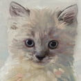 thumbnail image 3 of Masterpiece Art Gallery Pretty Kitty I, II, III, IV by Studio Arts Kittens Cat Canvas Art Print Set of 4 (11" x 14"), 3 of 4