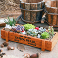 thumbnail image 3 of 2 Pieces Succulent Planter Box Decorative Rustic Wooden Rectangular Plant Container Garden Planter Vintage Flower Pot for Indoor Outdoor Plants Vegetables Herbs Flowers, 3 of 5