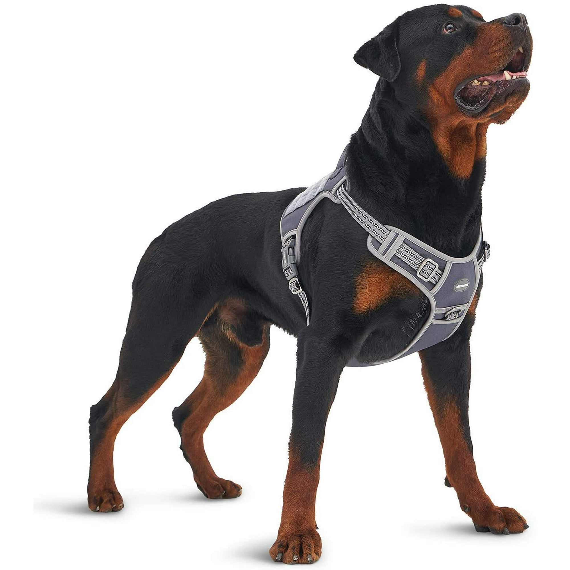 Molle dog harness online