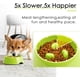 thumbnail image 3 of Comedero verde de alimentación lenta para perros y gatos, cuenco antideslizante que fomenta una alimentación más pausada, cuenco interactivo de melamina para reducir la hinchazón., 3 of 5