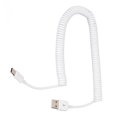 thumbnail image 1 of Cable De Cargador En Espiral USB Tipo C A USB 2.0 Macho, Cable De Extensión De Datos Rápido De 480Mbps Para Teléfono Móvil De 9,8 Pies, 1 of 7