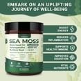 thumbnail image 3 of Sea Moss Gummies - 16-in-1 Formula - with Black Seed Oil, Ashwagandha, Bladder Wrack, Apple Cider Vinegar - for Men & Women - 60 Gummies, 3 of 6