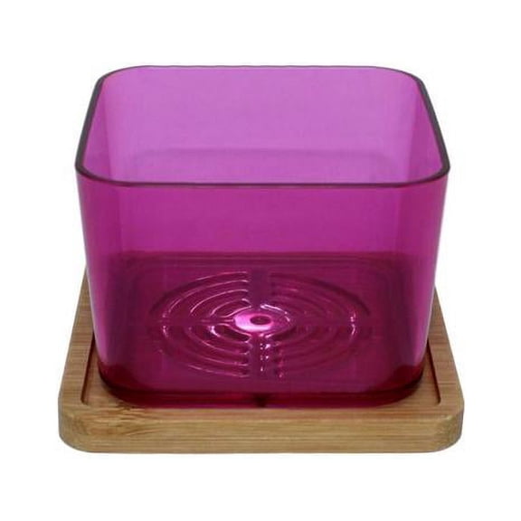 3" Rose Quartz Succulent Pot with Bamboo Saucer (6 Pack) by rePotme