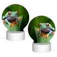 thumbnail image 2 of Sikiie Red-Eyed Tree Frog Acrylic Night Light Gift Custom Acrylic Night Light LED Lights for Bedroom Home Office, 2 of 9