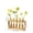 C, variant on NOUGFVZP Wooden Propagation Station with 5 Glass Test Tubes, Plant Propagation Station Wall Hanging, Propagation Vases for Plants Cuttings, Modern Plant Terrarium for Home office Decor
