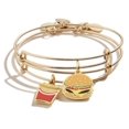 thumbnail image 1 of Alex and Ani Hamburger et Frire Ensemble de 2 Bracelets Multi Taille Unique, 1 of 2