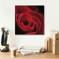 thumbnail image 6 of Epic Graffiti 'The Red Rose I' by Lori Deiter, Canvas Wall Art, 18"x18", 6 of 8