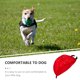 thumbnail image 3 of unbranded Abrigo Para Perro Con Demonio Tridimensional Para Fiestas De Mascotas, 3 of 8