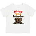 thumbnail image 3 of Inktastic Labrador Retriever Dog Gift Boys or Girls Baby T-Shirt, 3 of 5