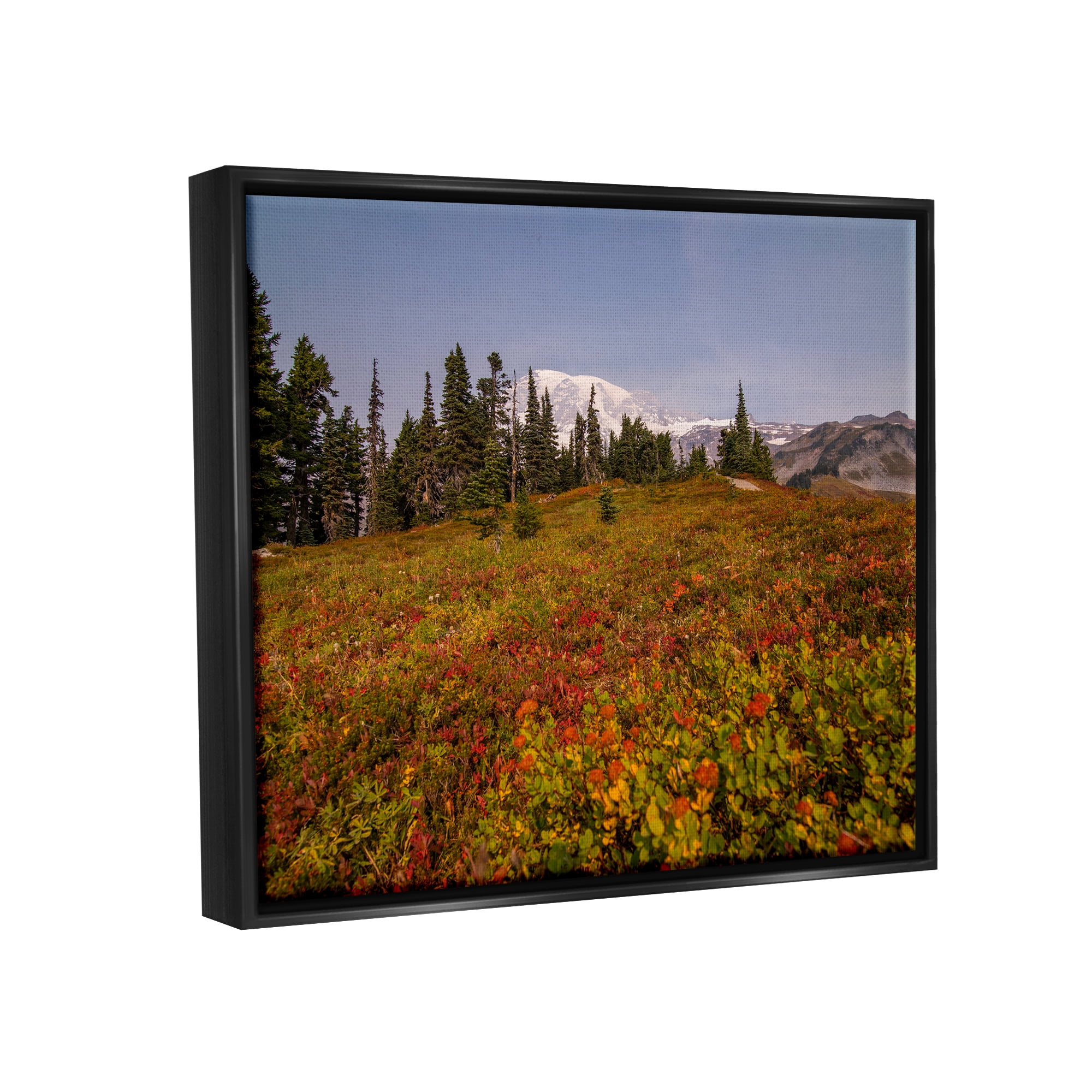 Stupell Industries Mountain Meadow Scenery Nature Photography Black Floater Framed Art Print Wall Art, 31 x 25