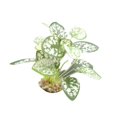 thumbnail image 1 of Artificial Water Plants Aquarium Silk Plastic Fish Tank Decorations Large✨m C5D5, 1 of 1