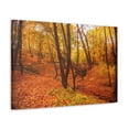 thumbnail image 5 of Fall Orange Tree Forest Nature Wilderness Photography Canvas Wall Art for Home Decor Ready-to-Hang, 5 of 18
