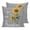 Grey, variant on Pillow Covers 20x20 Set of 2, Sunflowers Square Throw Pillow Covers for Couch/Sofa/Living Room, Spring Summer Bees Yellow Floral Grey Decorative Soft Pillowcases for Couch Throw Pillows