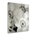 thumbnail image 2 of Tangletown Fine Art 'Florison - 31' Graphic Art Print on Wrapped Canvas, 2 of 2