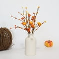 thumbnail image 7 of Pumpkin Picks Fall Branches, Ongmies Fall Berry Stems, Artificial Berry Pumpkin Stems – Orange Pumpkin Picks and Faux Flowers Bouquet for Autumn, Thanksgiving, and Halloween Decoration, 7 of 7