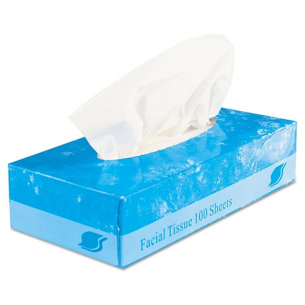 GEN Boxed Facial Tissue, 2-Ply, White, 100 Sheets/Box -GENFACIAL30100
