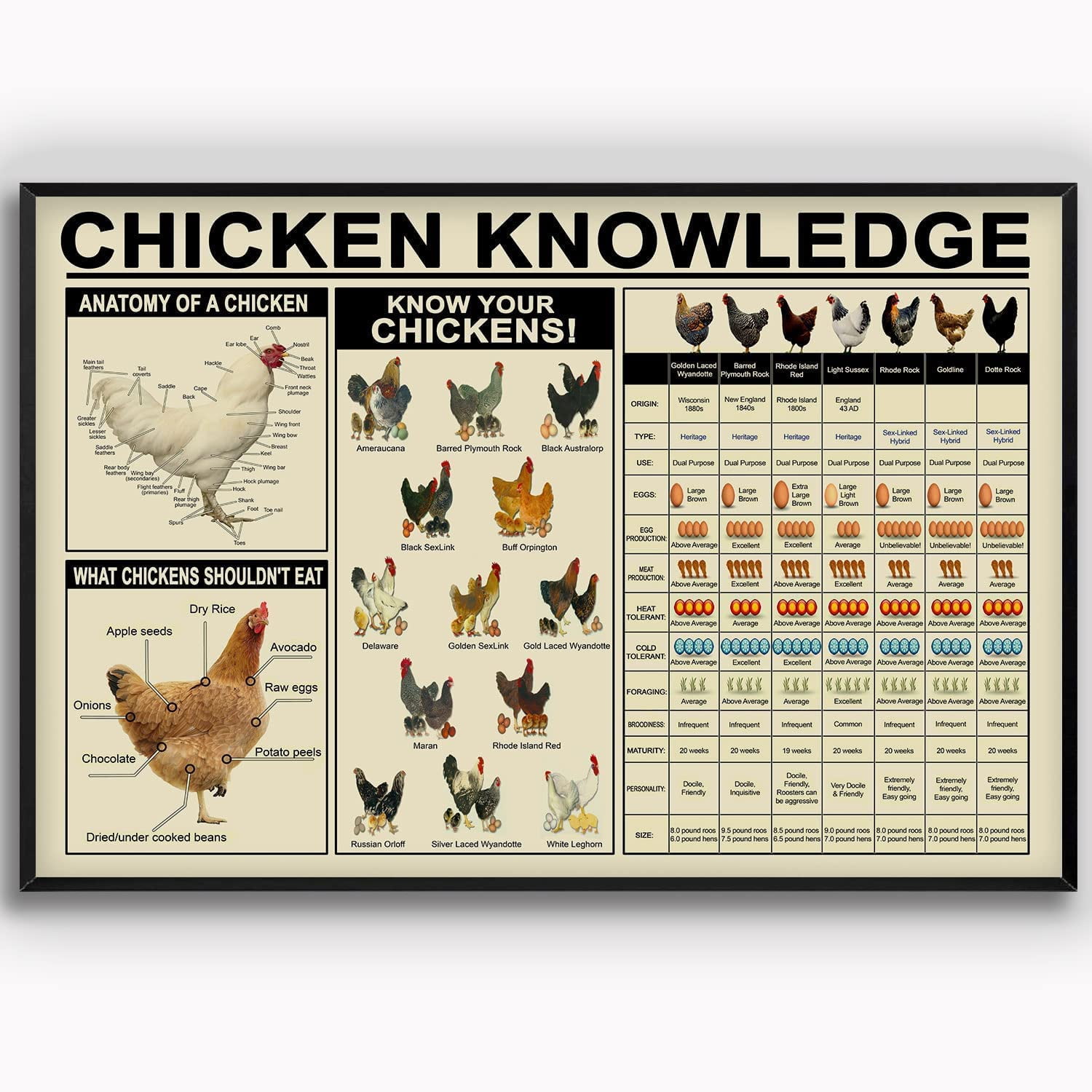 Chicken Knowledge Metal Signs Vintage Know Your Chickens Tin Poster