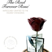 Forever Rose Enchanted Rose, a Genuine, One of a Kind, Real Burgundy Rose, Hand Dipped in Lacquer with a Copper Stem and Leaves, Beauty and The Beast