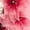 Red, variant on Badgley Mischka womens  Floral Cocktail Dress, 0, Red