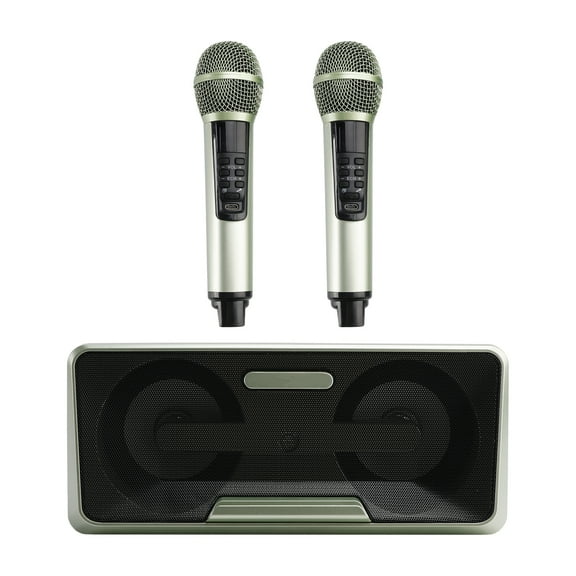 Wireless Bluetooth Dual Microphone Karaoke All-In-One Speaker for Home Outdoor