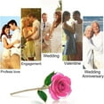 thumbnail image 4 of Desktop Dress Up, Fall Decor - Dienrx Gold Dipped Rose Gold Rose With Transparent Stand Real Long Stem Rose Flower Best For Her Mom Wife Anniversary Mothers Day Birthday Valentine'S Wedding, 4 of 5