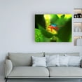 thumbnail image 3 of Trademark Fine Art 'Stink Bug' Canvas Art by Dana Brett Munich, 3 of 3