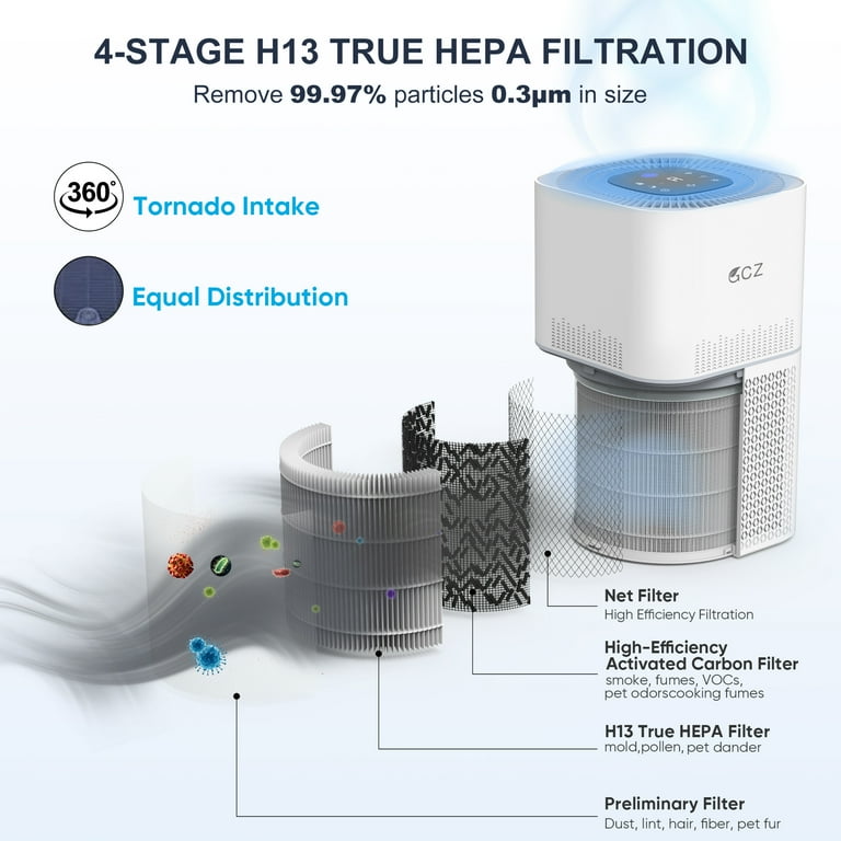 Hepa filter for asthma online