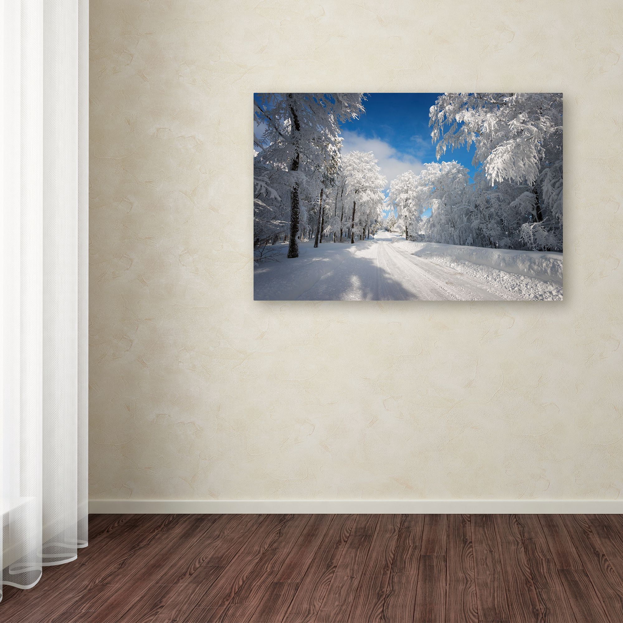 Trademark Fine Art "Going Nowhere" Canvas Art by Philippe Sainte-Laudy