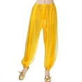 Belly dance pants Indian dance costume dance pants chiffon pants stage