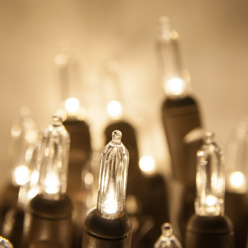 Wintergreen Lighting T5 LED Mini Lights Brown Wire Christmas Lights