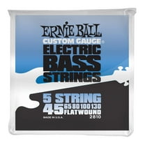 Ernie Ball Flat Wound string Electric Bass Guitar stainless steel