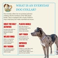 thumbnail image 5 of Country Brook Petz® Blue Peonies Everyday Dog Collar, Medium, 5 of 7