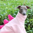 thumbnail image 2 of HQREA Italian Greyhound Onesie Clothes Whippet Dog Dinosaur Costume Pajamas for Large Dogs, 2 of 6