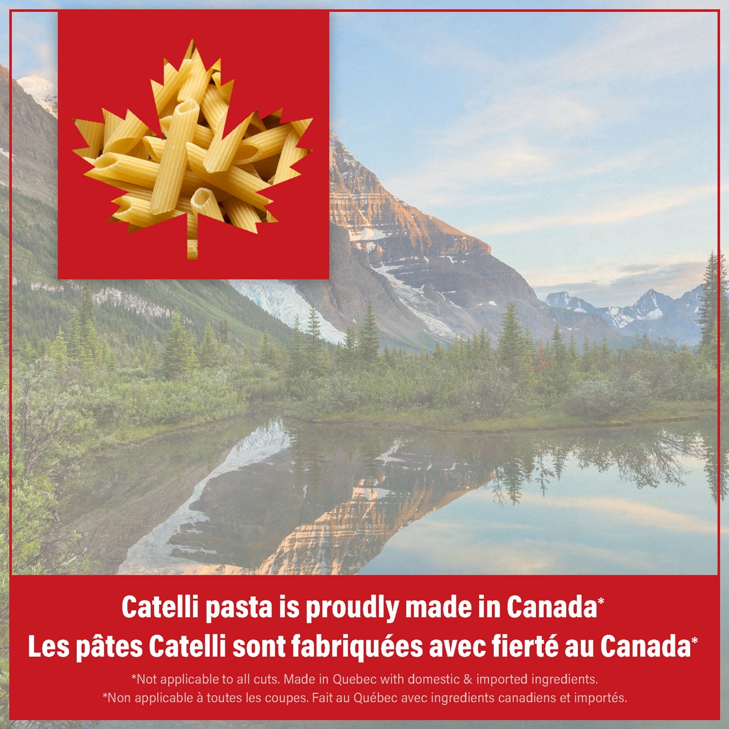 Catelli Whole Grains, Penne Rigate Pasta