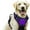 A, variant on Pet Vest PawSafety No Pull Harness for Dogs and Cats - Durable Comfortable and Safe for Indoor and Outdoor Use